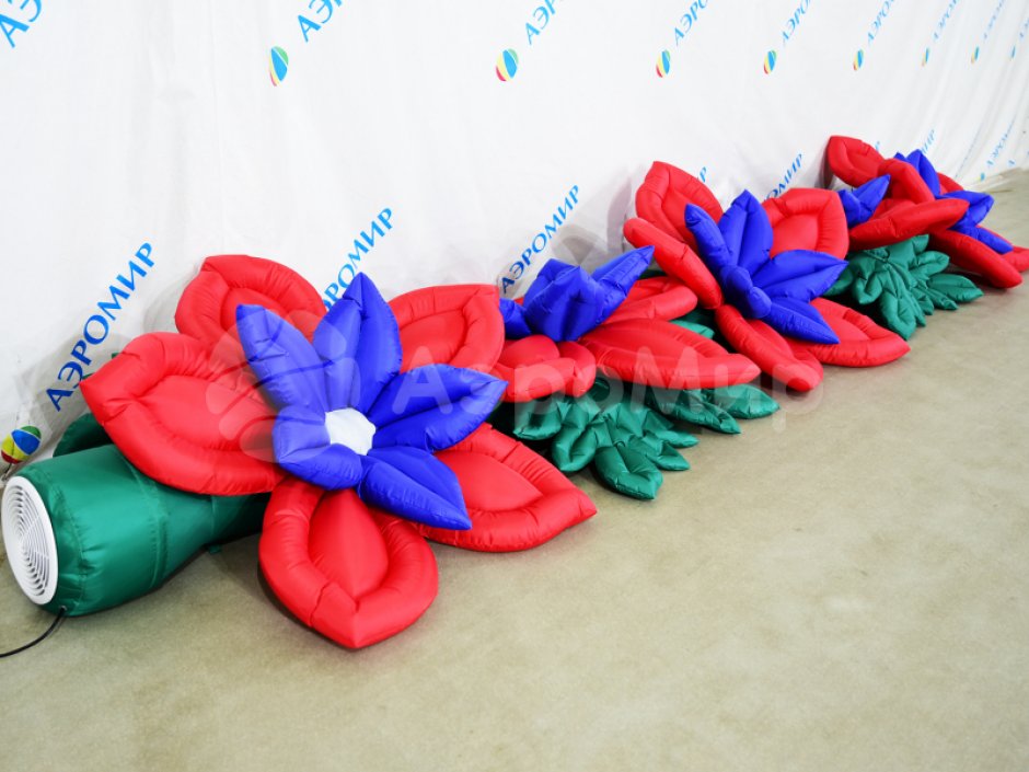 Незабудка с раскрытием