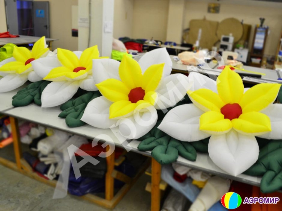 Незабудка с раскрытием