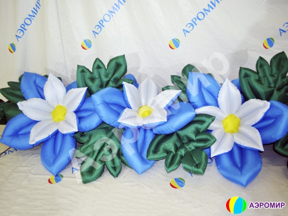 Незабудка с раскрытием