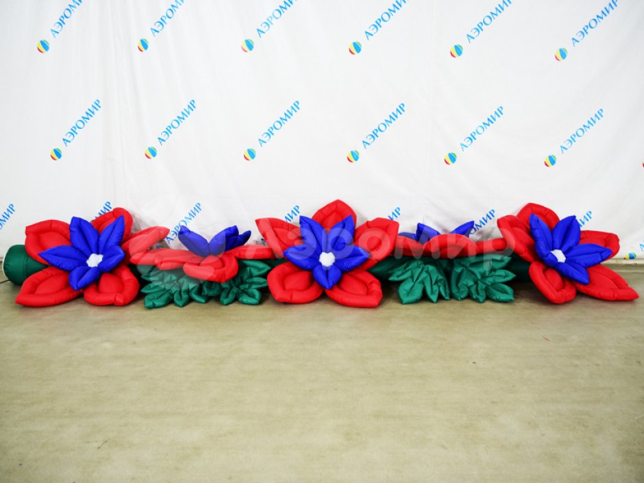 Незабудка с раскрытием