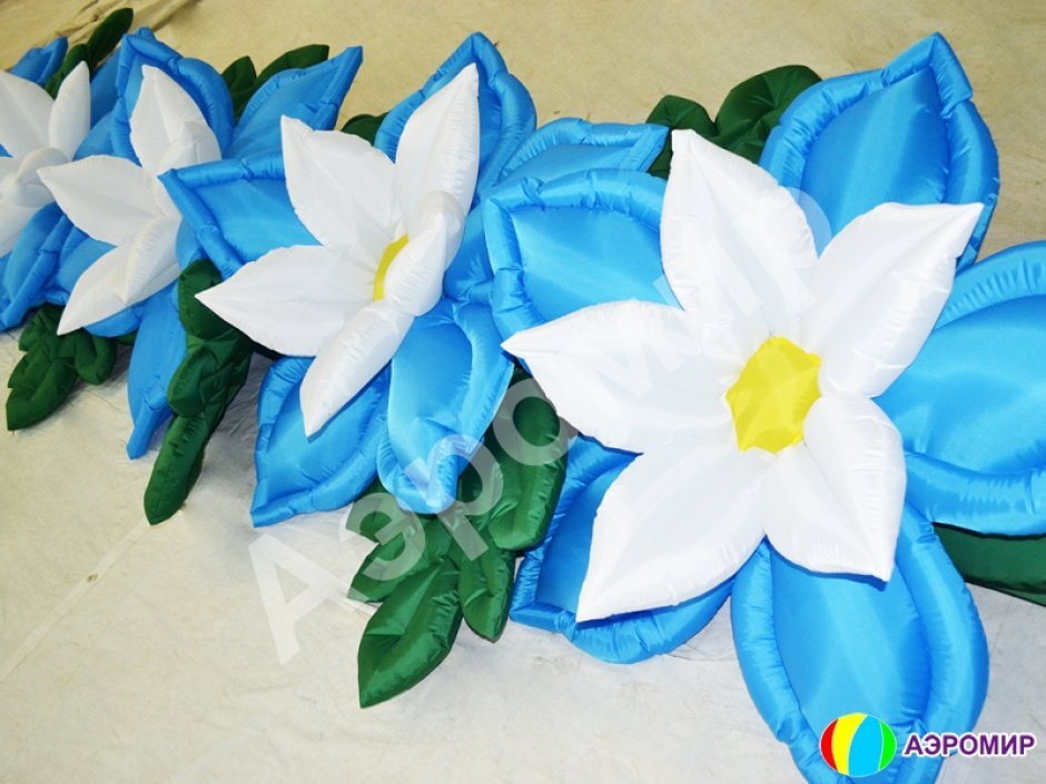 Незабудка с раскрытием