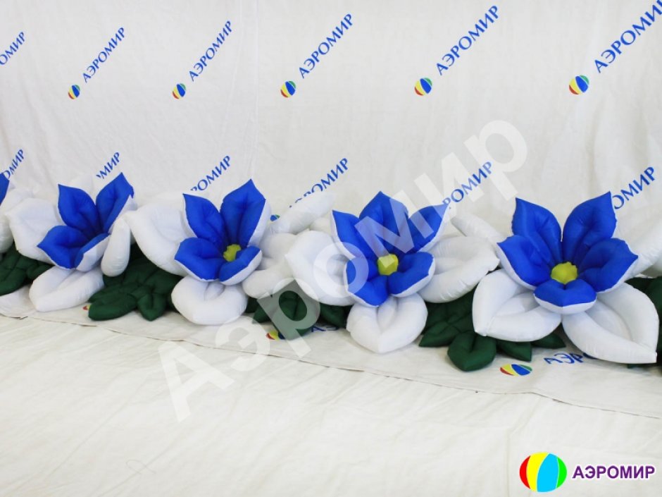 Незабудка с раскрытием