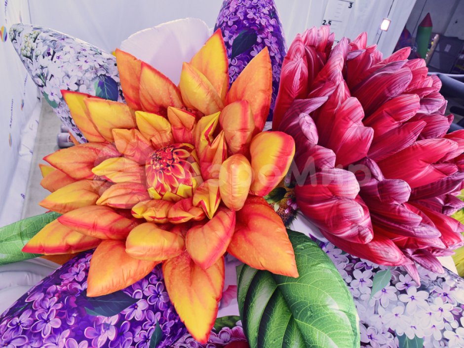 Гигантский букет