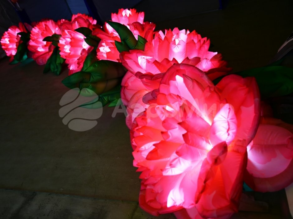 Надувные цветы Пионы