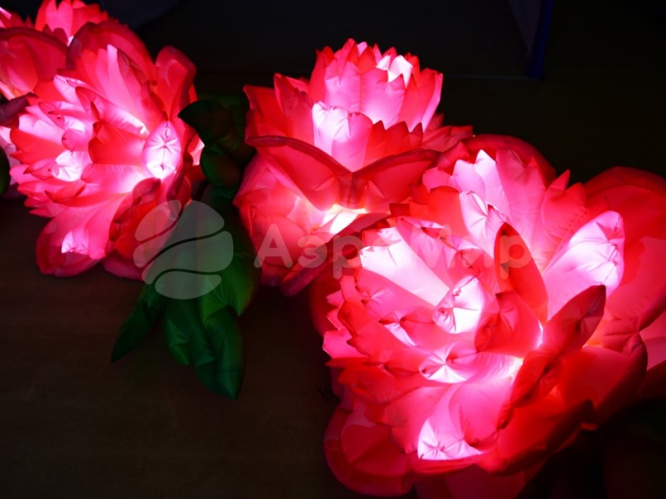 Пневмогирлянда из Пионов с эффектом раскрытия