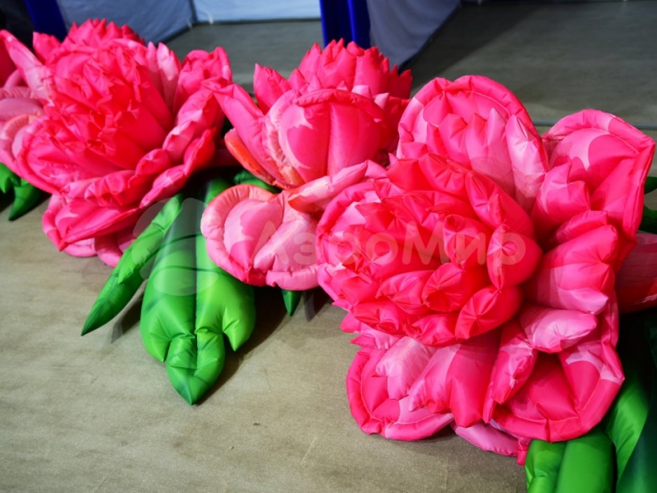 Надувные цветы Пионы