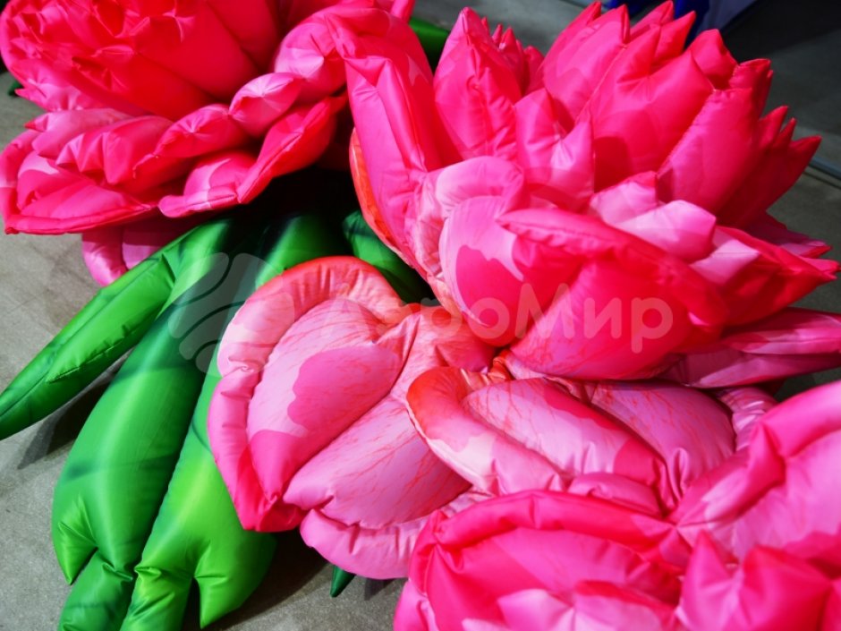 Пневмогирлянда из Пионов с эффектом раскрытия