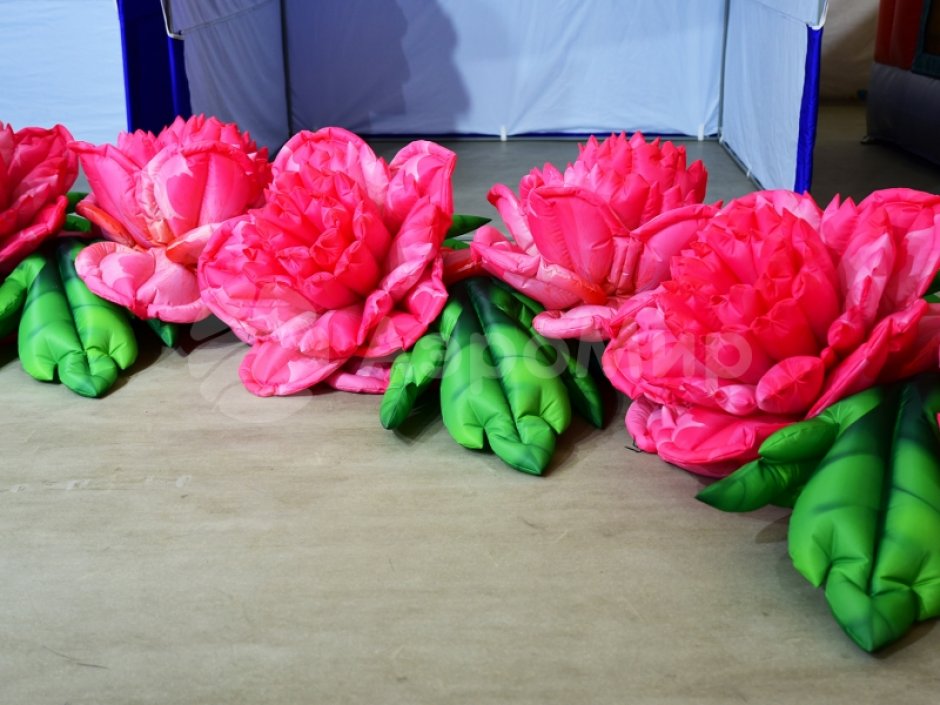 Пневмогирлянда из Пионов с эффектом раскрытия