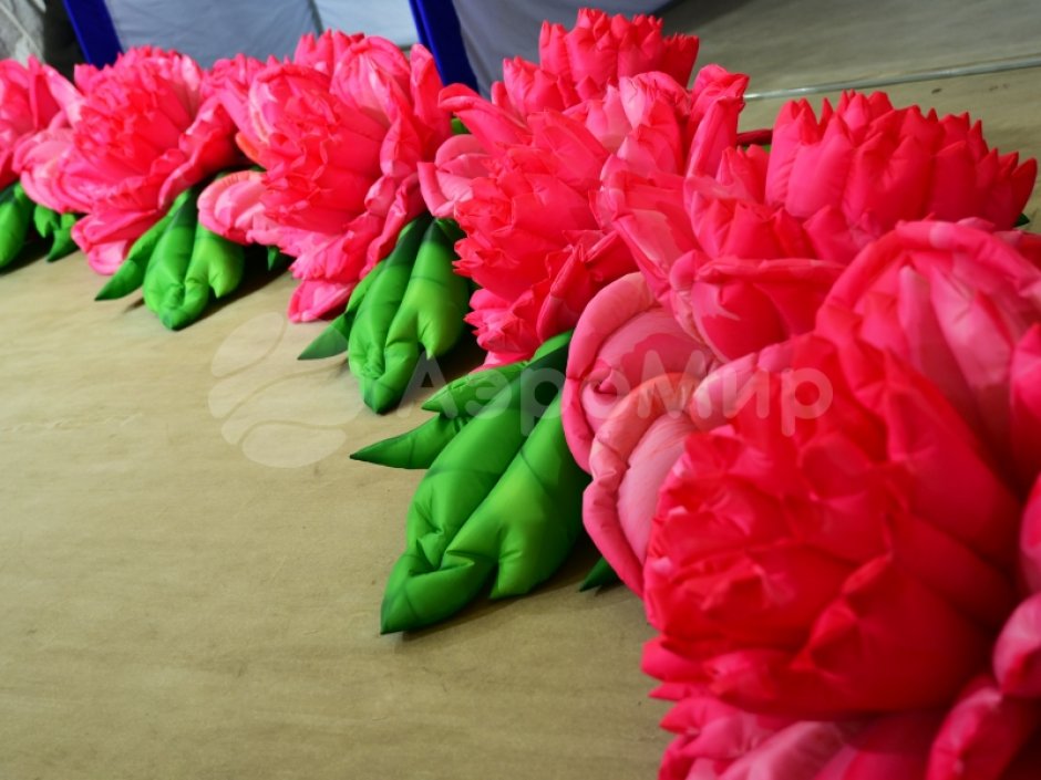 Надувные цветы Пионы