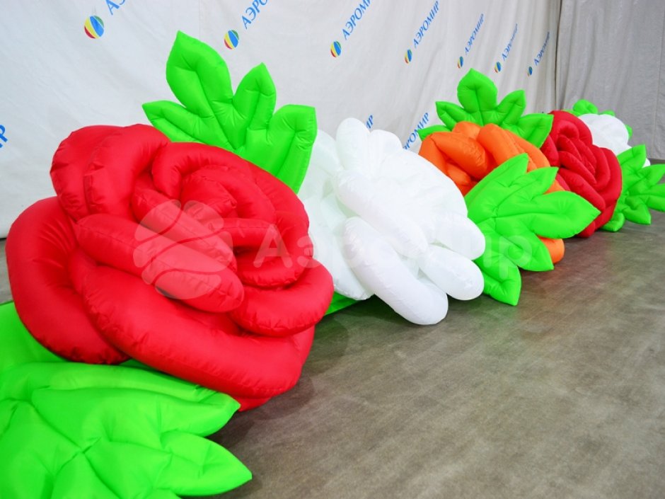 Роза с раскрытием