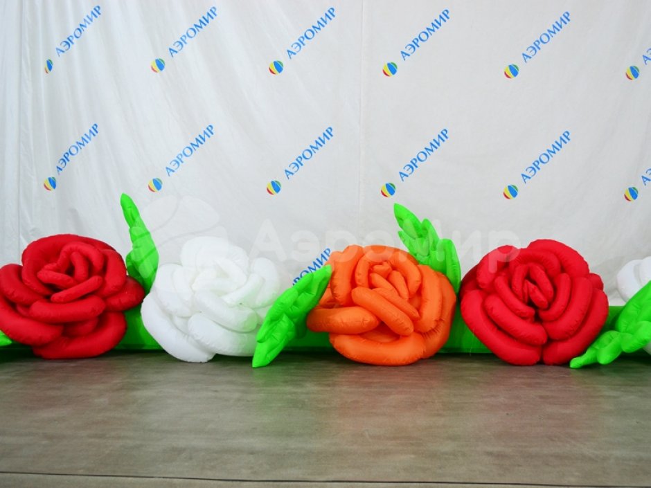 Роза с раскрытием