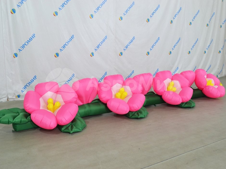 Яблоня с раскрытием