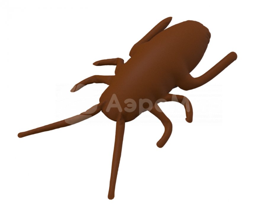 Аэроподушка «Таракан»