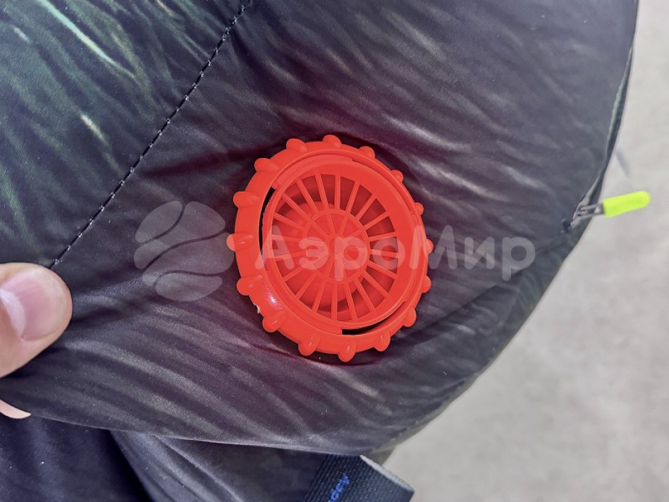 Паук-подушка