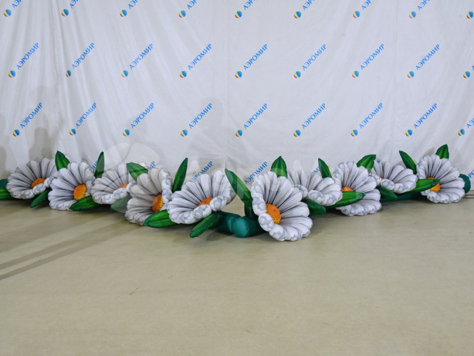 Ромашка с раскрытием