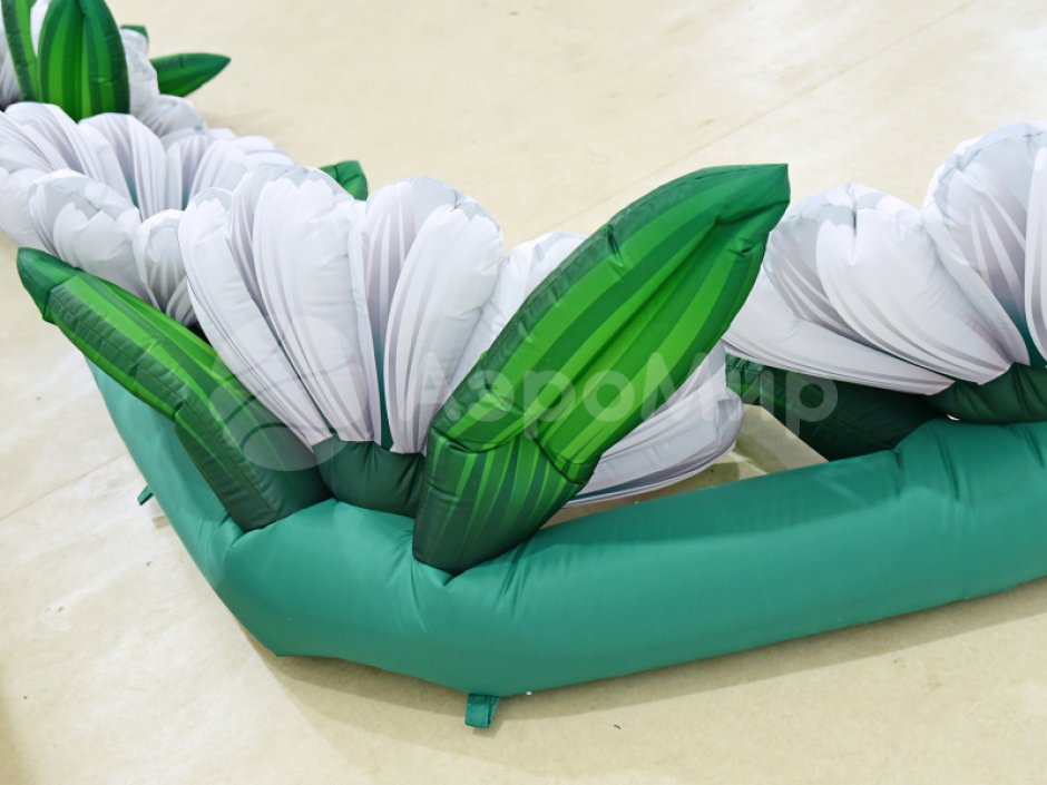 Ромашка с раскрытием