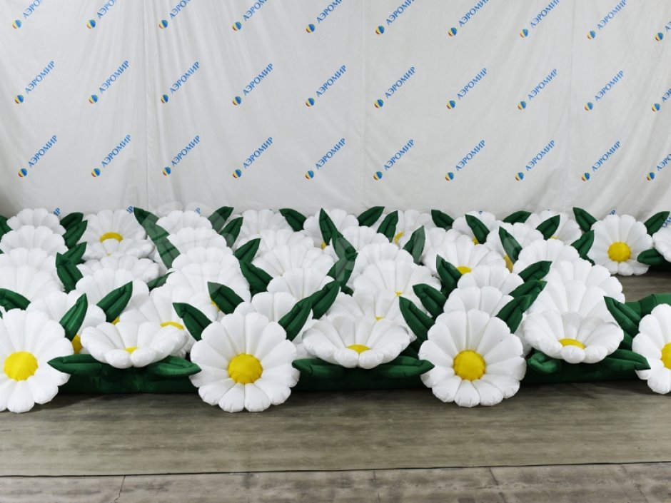 Ромашка с раскрытием