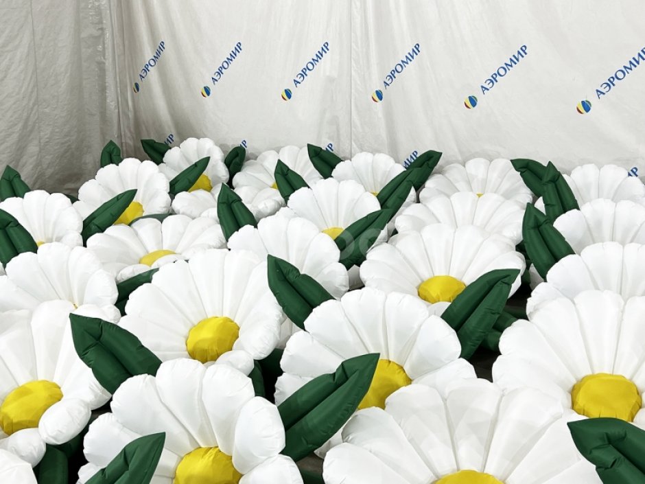 Ромашка с раскрытием