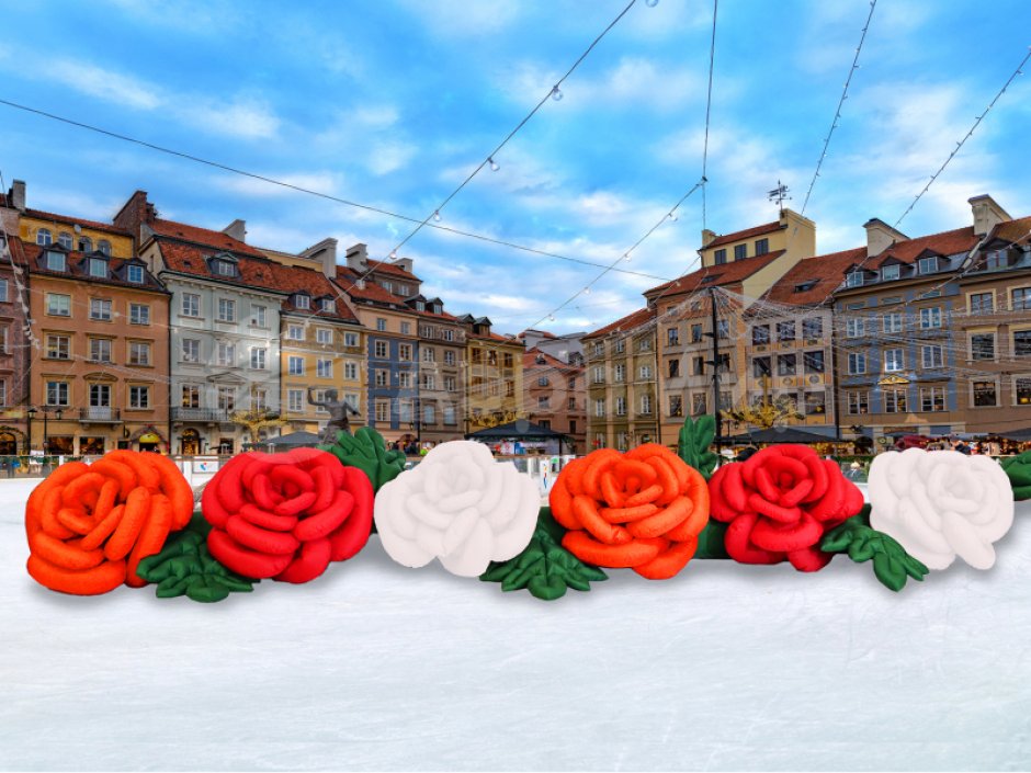 Роза с раскрытием