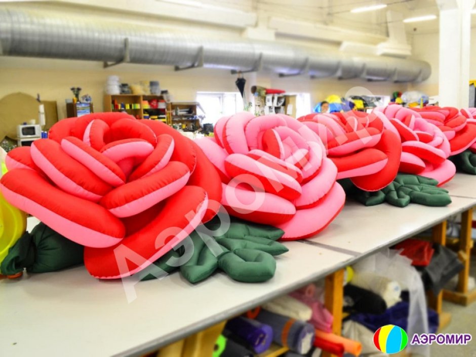 Роза с раскрытием