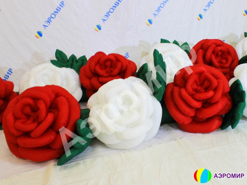 Роза с раскрытием