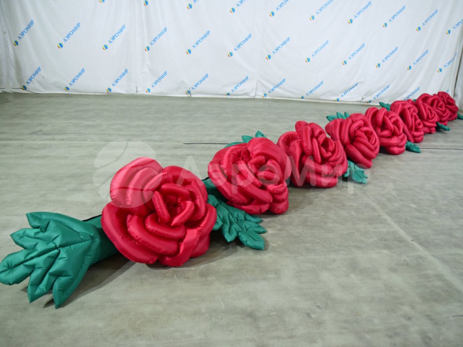 Роза с раскрытием