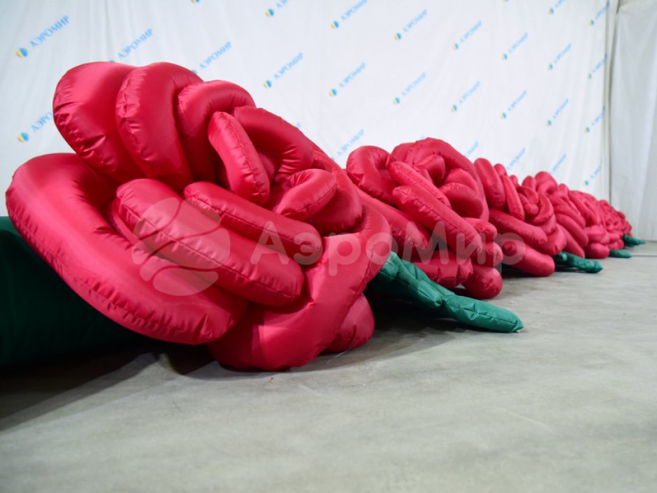 Роза с раскрытием