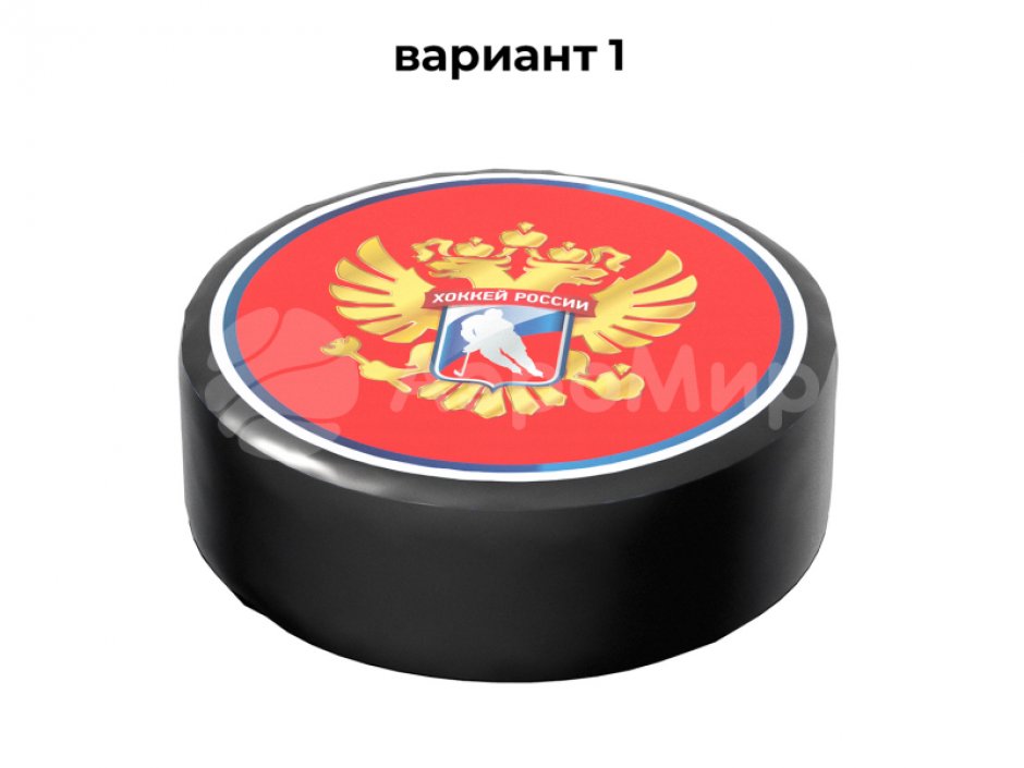 Гигантская шайба для тимбилдинга