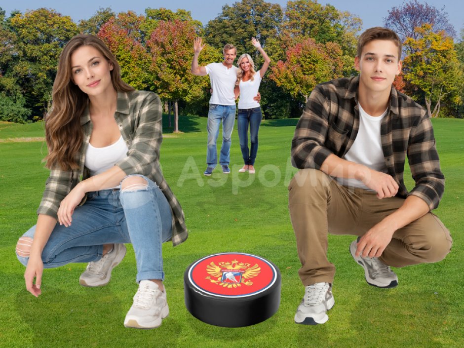 Гигантская шайба для аттракционов