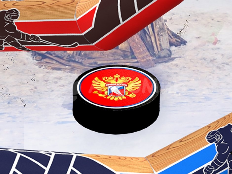 Гигантская шайба