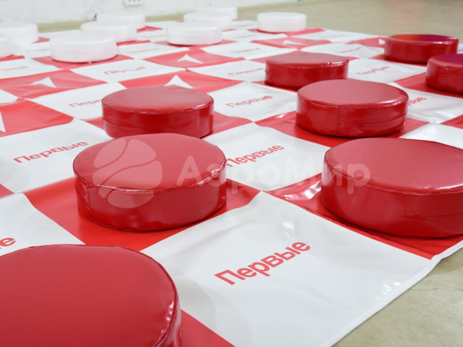 Гигантские шашки — 24 фигуры