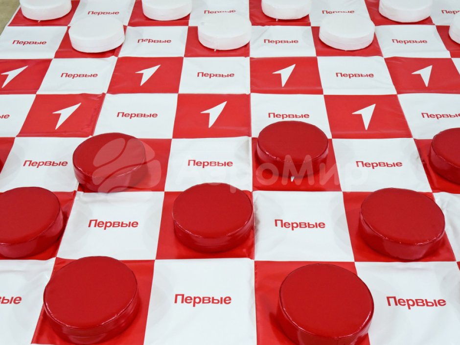 Гигантские шашки — 24 фигуры