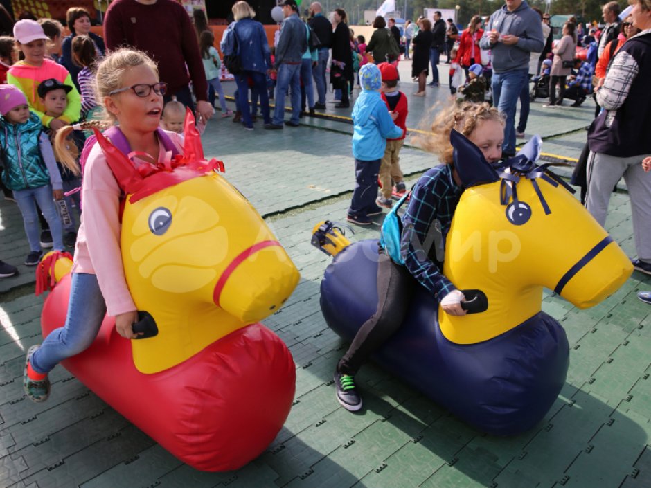 Лошадиные скачки — командный игровой реквизит для забегов и эстафет