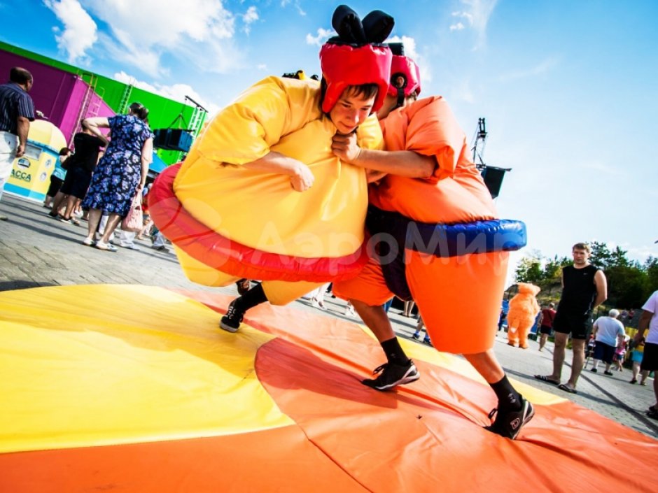 Сумо — комплект игровых аттракционов на двух участников