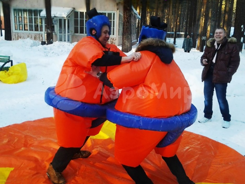 Сумо — комплект игровых аттракционов на двух участников