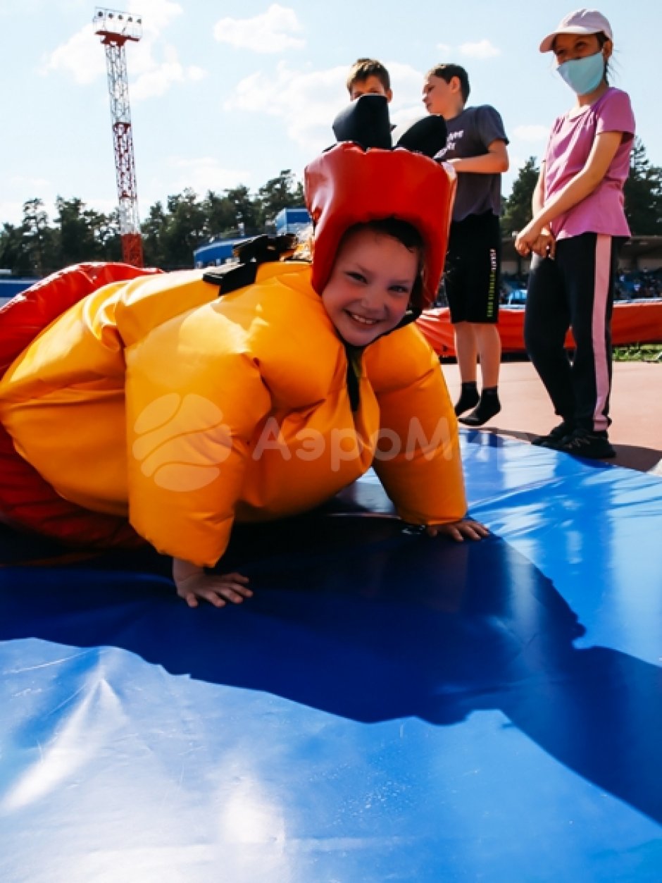 Сумо — комплект игровых аттракционов на двух участников