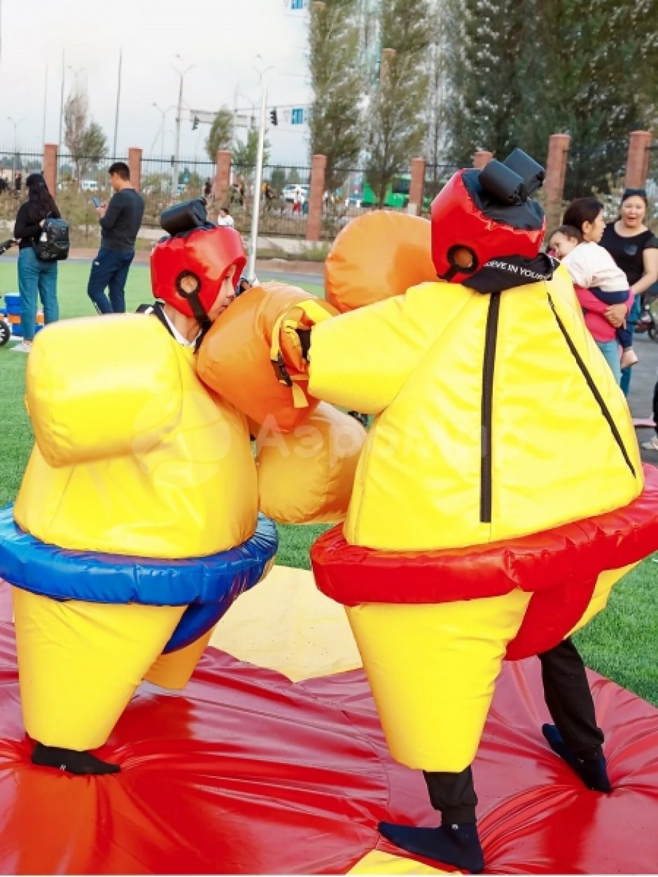 Сумо — комплект игровых аттракционов на двух участников