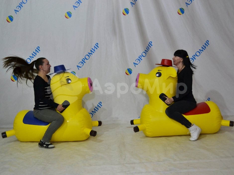 Скачки на свинках — герметичный авторский аттракцион