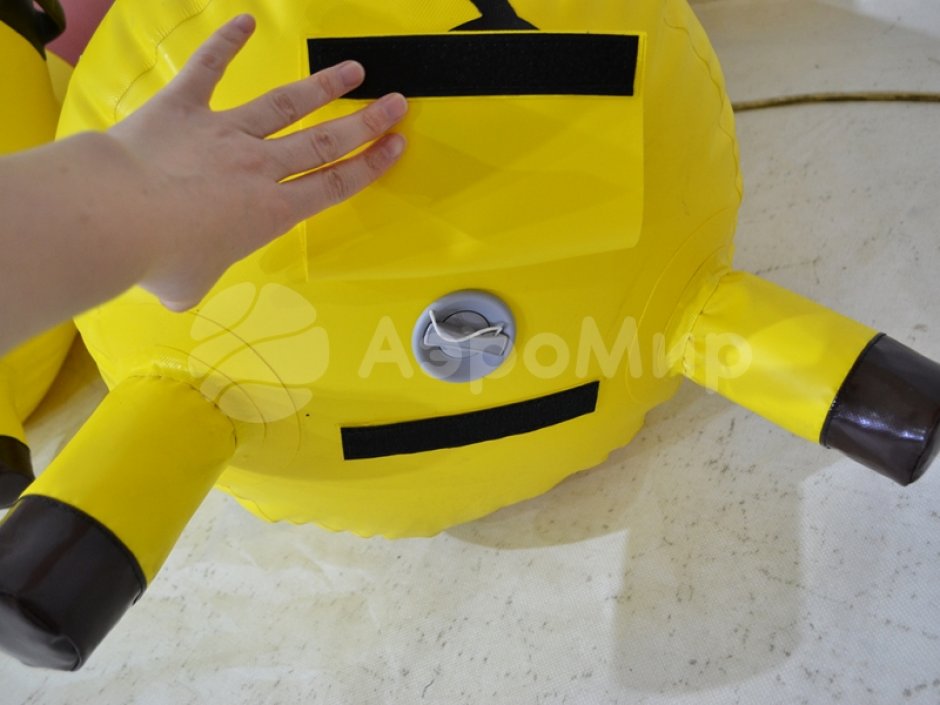 Скачки на свинках — герметичный авторский аттракцион