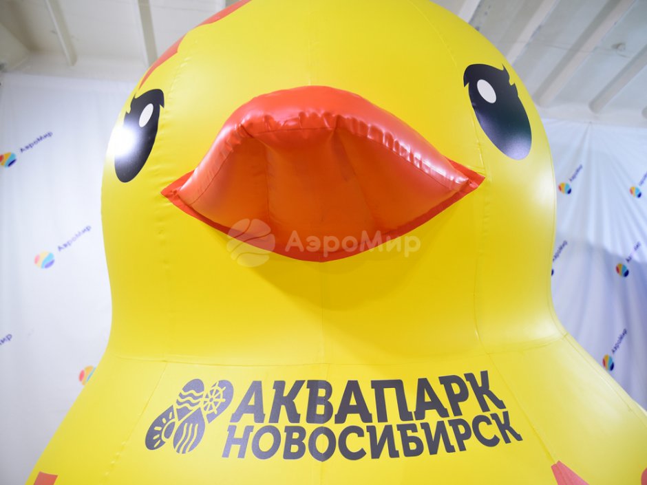 Надувная уточка для аквапарка