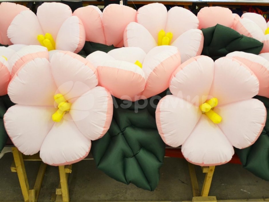 Яблоня с раскрытием