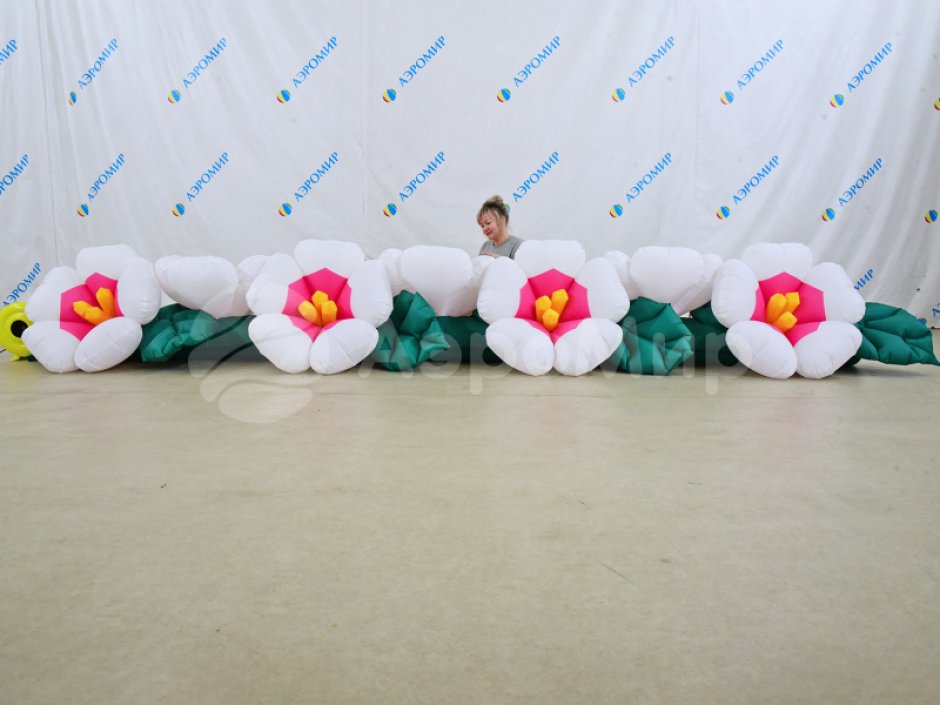 Яблоня с раскрытием