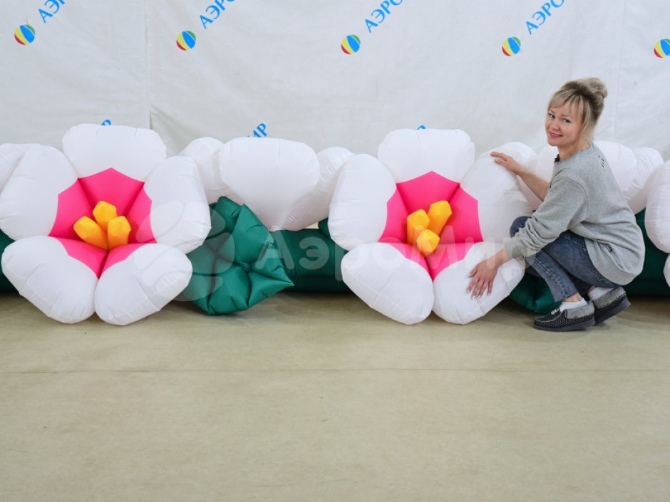 Яблоня с раскрытием