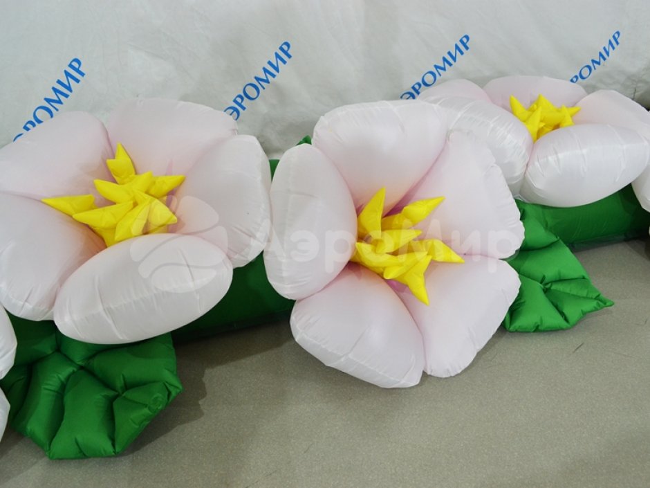 Яблоня с раскрытием