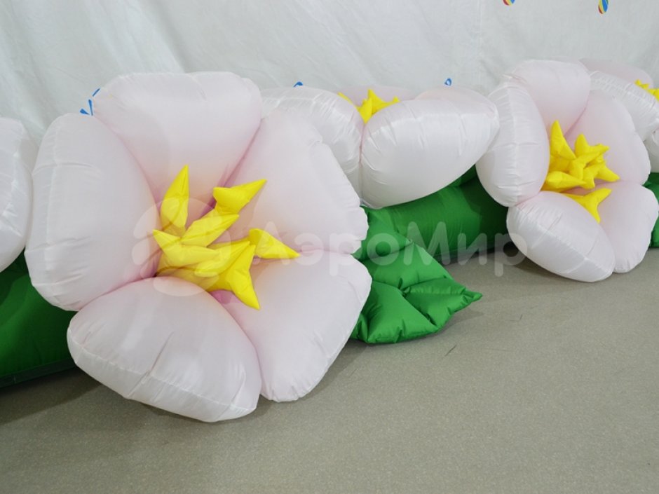 Яблоня с раскрытием