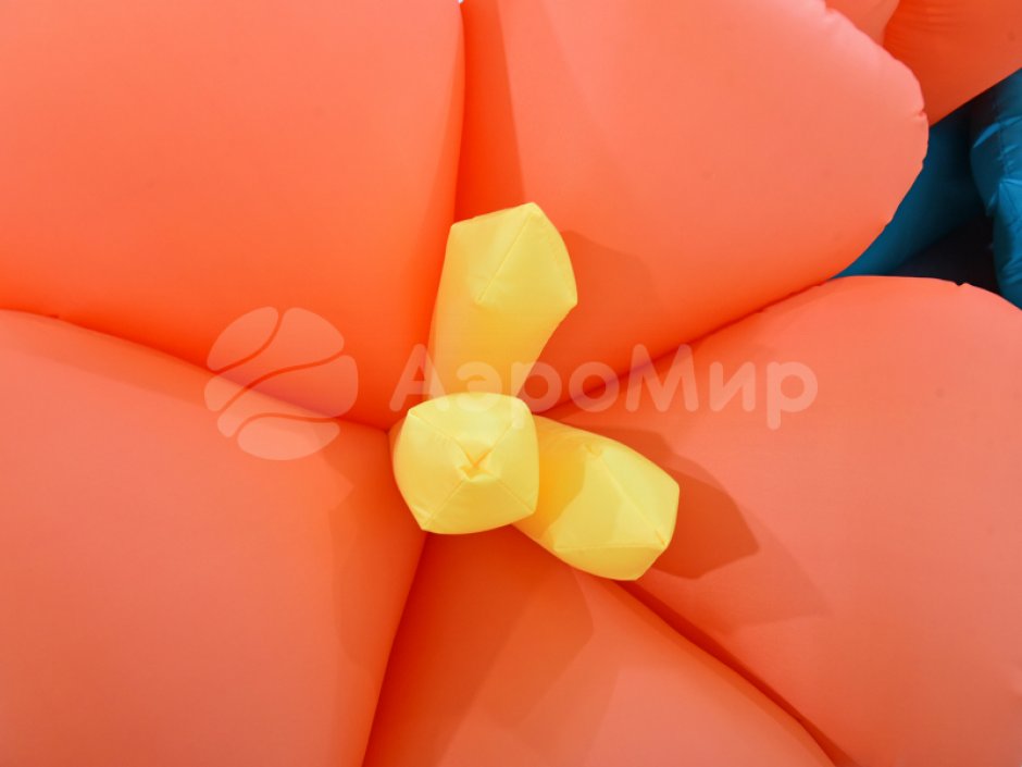 Яблоня с раскрытием