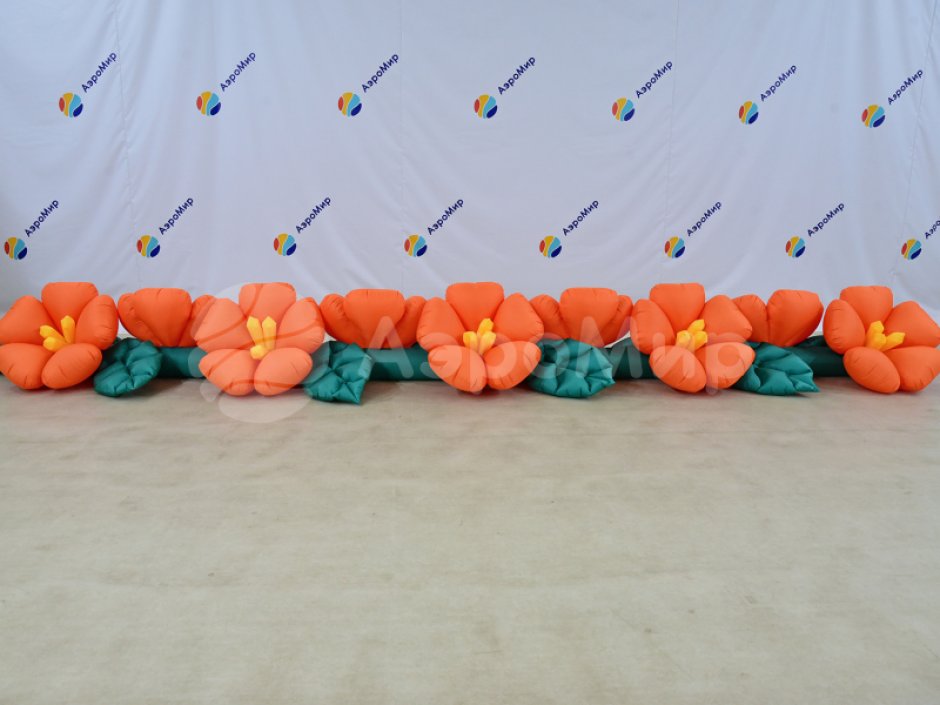 Яблоня с раскрытием