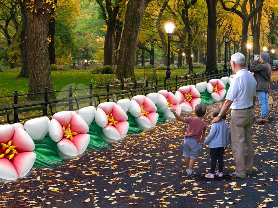 Яблоня с раскрытием