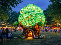 Чудо-дерево