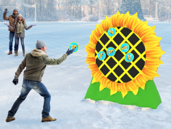 Дартс подсолнух